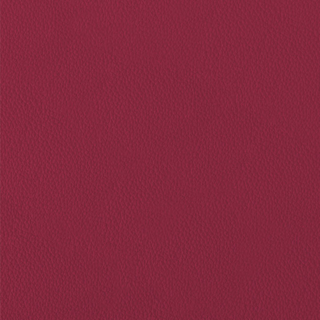 Сучасна еко-шкіра з тонкою текстурою BERRY - материал для обложки фотокниги SOFI