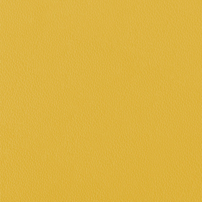 Сучасна еко-шкіра з тонкою текстурою LEMON - материал для обложки фотокниги SOFI