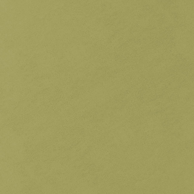 Нубук OLIVE - материал для обложки фотокниги SOFI