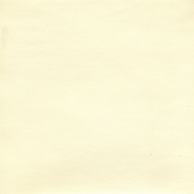 Класичний шкірзамінник (з фактурою натуральної шкіри) BIEG - материал для обложки фотокниги SOFI